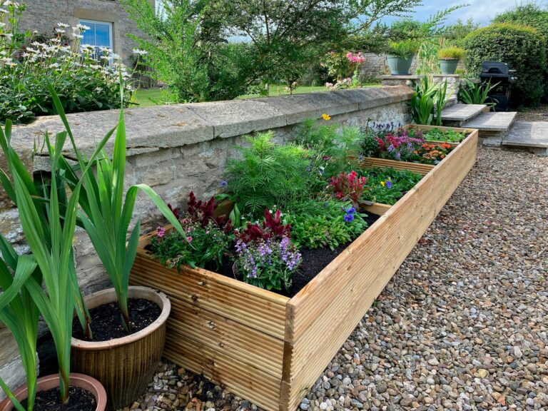 Gardening - Spring growth in a flower bed